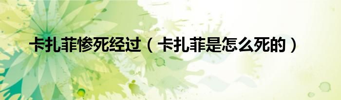 卡扎菲惨死经过(卡扎菲是怎么死的)