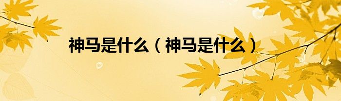 神马是什么(神马是什么)