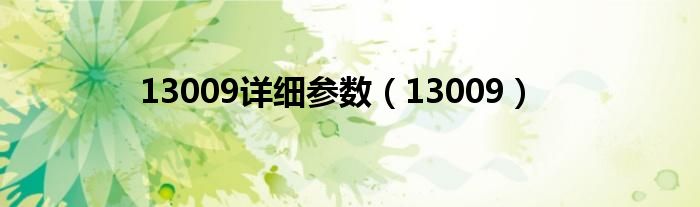 13009详细参数(13009)