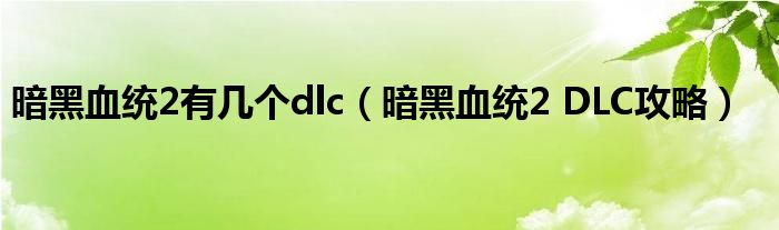暗黑血统2有几个dlc(暗黑血统2 DLC攻略)