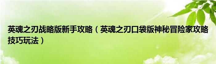 英魂之刃战略版新手攻略(英魂之刃口袋版神秘冒险家攻略技巧玩法)