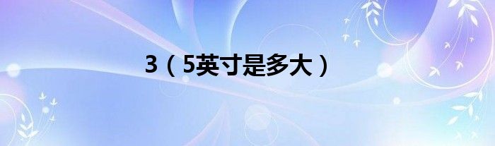 3(5英寸是多大)