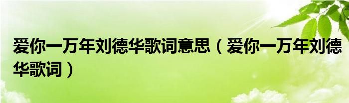 爱你一万年刘德华歌词意思(爱你一万年刘德华歌词)