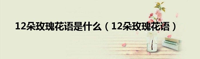 12朵玫瑰花语是什么(12朵玫瑰花语)