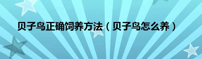 贝子鸟正确饲养方法（贝子鸟怎么养）
