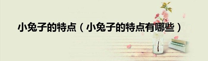 小兔子的特点(小兔子的特点有哪些)