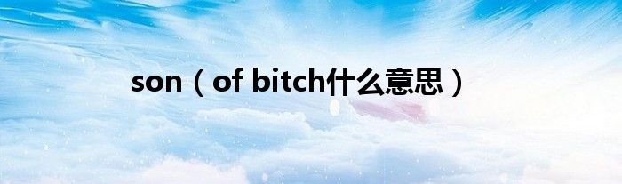 son(of bitch什么意思)