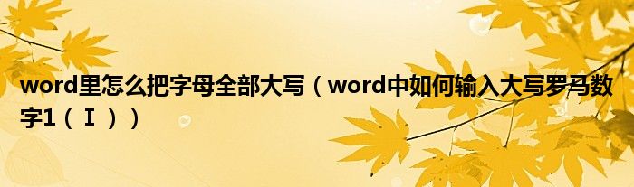 word里怎么把字母全部大写(word中如何输入大写罗马数字1(Ⅰ))