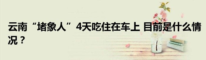云南“堵象人”4天吃住在车上 目前是什么情况?