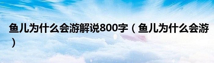 鱼儿为什么会游解说800字(鱼儿为什么会游)