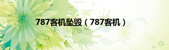 787客机坠毁(787客机)