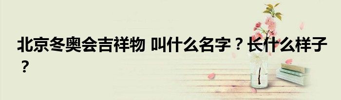 北京冬奥会吉祥物 叫什么名字？长什么样子？