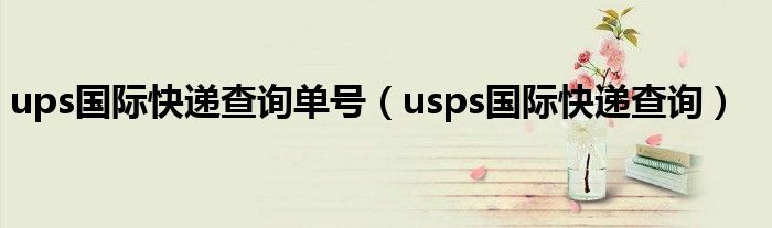 ups国际快递查询单号(usps国际快递查询)