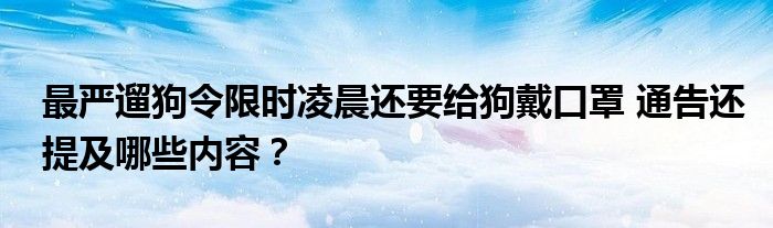 最严遛狗令限时凌晨还要给狗戴口罩 通告还提及哪些内容?