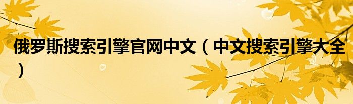 俄罗斯搜索引擎官网中文（中文搜索引擎大全）