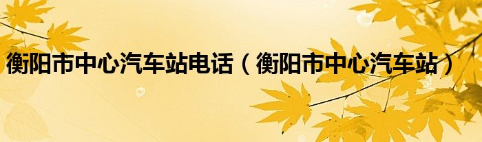 衡阳市中心汽车站电话(衡阳市中心汽车站)