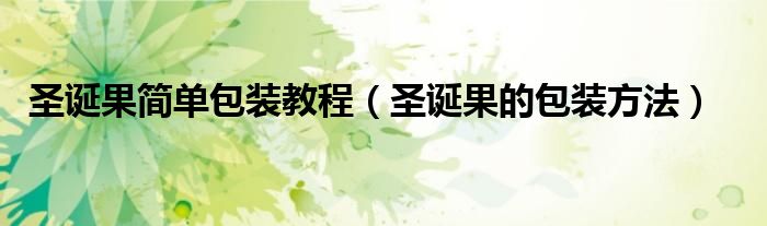 圣诞果简单包装教程(圣诞果的包装方法)