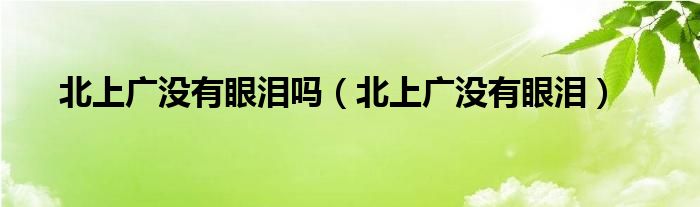 北上广没有眼泪吗(北上广没有眼泪)