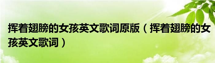 挥着翅膀的女孩英文歌词原版(挥着翅膀的女孩英文歌词)