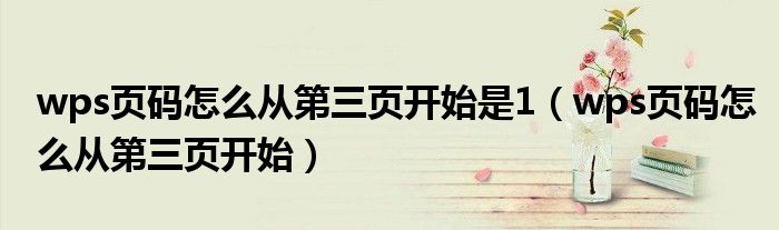 wps页码怎么从第三页开始是1(wps页码怎么从第三页开始)