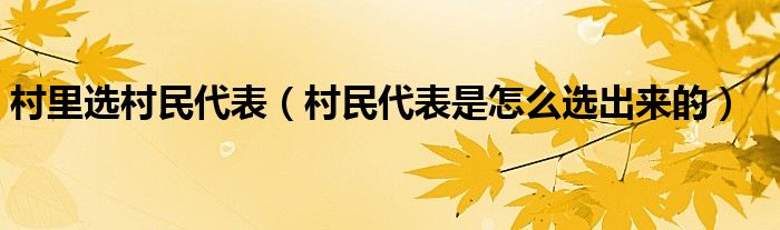 村里选村民代表(村民代表是怎么选出来的)