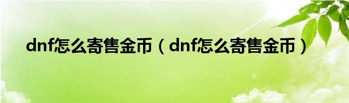 dnf怎么寄售金币(dnf怎么寄售金币)