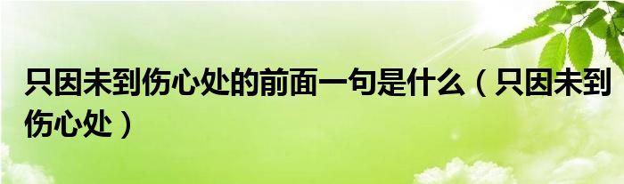 只因未到伤心处的前面一句是什么(只因未到伤心处)