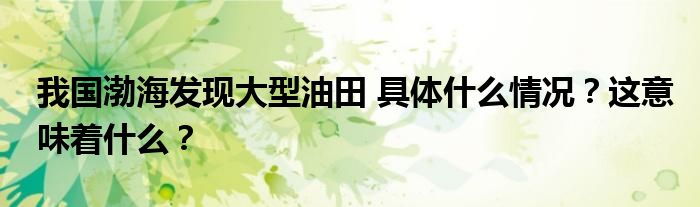 我国渤海发现大型油田 具体什么情况?这意味着什么?