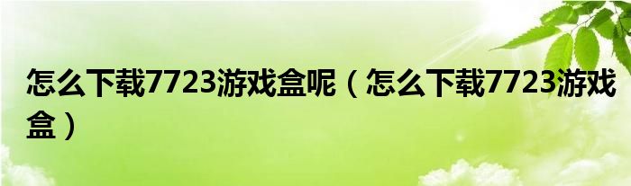 怎么下载7723游戏盒呢(怎么下载7723游戏盒)