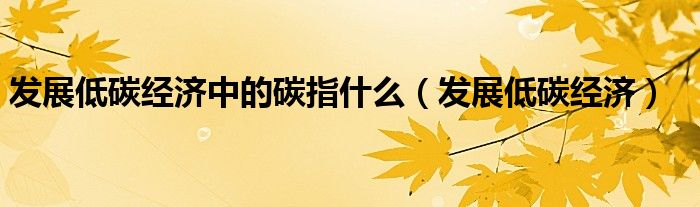 发展低碳经济中的碳指什么(发展低碳经济)