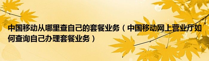 中国移动从哪里查自己的套餐业务(中国移动网上营业厅如何查询自己办理套餐业务)