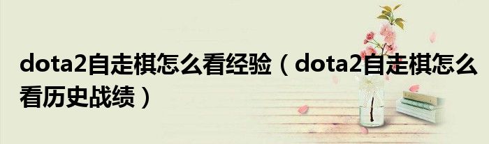 dota2自走棋怎么看经验(dota2自走棋怎么看历史战绩)