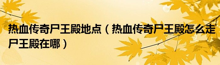 热血传奇尸王殿地点(热血传奇尸王殿怎么走尸王殿在哪)
