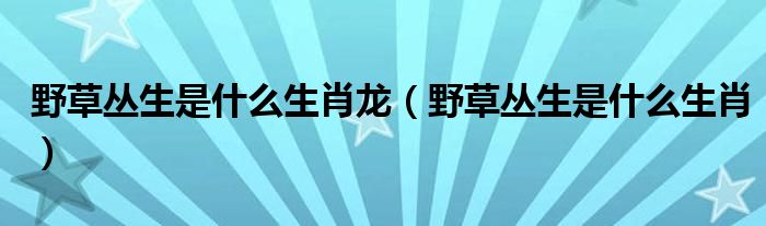 野草丛生是什么生肖龙(野草丛生是什么生肖)