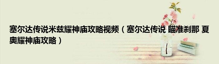 塞尔达传说米兹耀神庙攻略视频(塞尔达传说 瞄准刹那 夏奥耀神庙攻略)