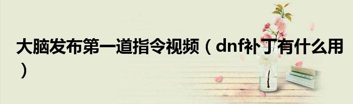 大脑发布第一道指令视频(dnf补丁有什么用)