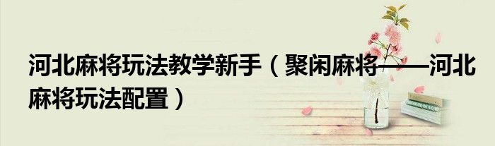 河北麻将玩法教学新手(聚闲麻将——河北麻将玩法配置)