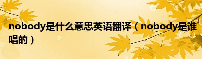 nobody是什么意思英语翻译(nobody是谁唱的)