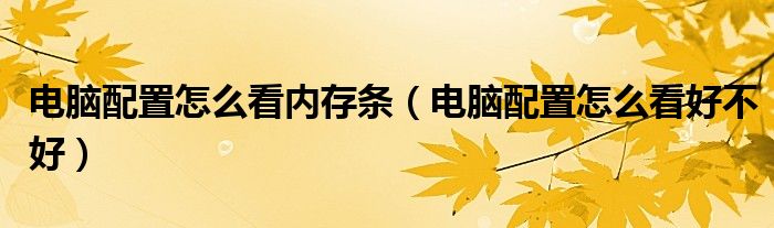 电脑配置怎么看内存条(电脑配置怎么看好不好)