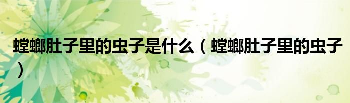 螳螂肚子里的虫子是什么(螳螂肚子里的虫子)