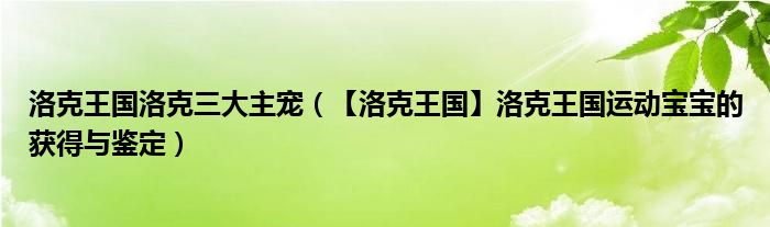 洛克王国洛克三大主宠(【洛克王国】洛克王国运动宝宝的获得与鉴定)