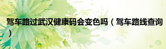 驾车路过武汉健康码会变色吗(驾车路线查询)