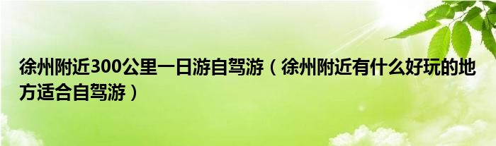 徐州附近300公里一日游自驾游(徐州附近有什么好玩的地方适合自驾游)