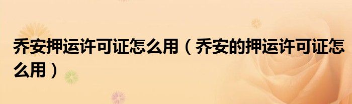 乔安押运许可证怎么用(乔安的押运许可证怎么用)