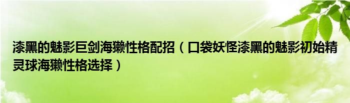 漆黑的魅影巨剑海獭性格配招(口袋妖怪漆黑的魅影初始精灵球海獭性格选择)