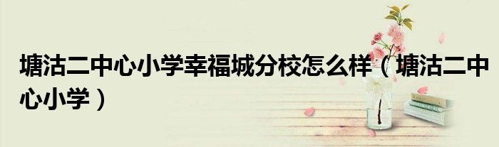 塘沽二中心小学幸福城分校怎么样(塘沽二中心小学)