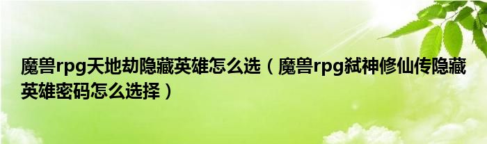 魔兽rpg天地劫隐藏英雄怎么选(魔兽rpg弑神修仙传隐藏英雄密码怎么选择)