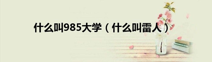 什么叫985大学(什么叫雷人)