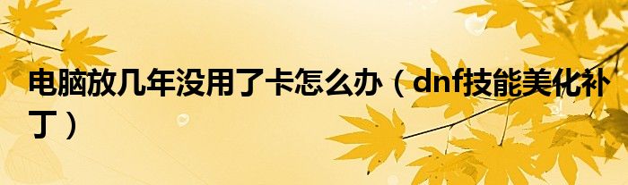 电脑放几年没用了卡怎么办(dnf技能美化补丁)
