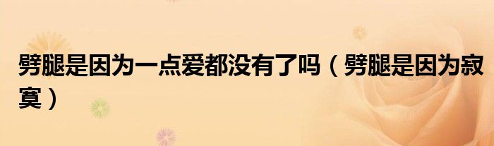 劈腿是因为一点爱都没有了吗(劈腿是因为寂寞)